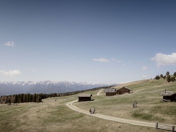 Holiday with a dog in South Tyrol: Kessler’s! Mountain meadows with hikers, wooden cabins, and snow-capped mountains in the background