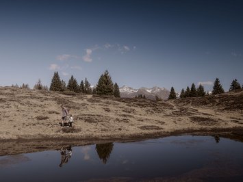Holiday with a dog in South Tyrol: Kessler’s! Hikers with child on mountain meadow with mountains and clear sky background