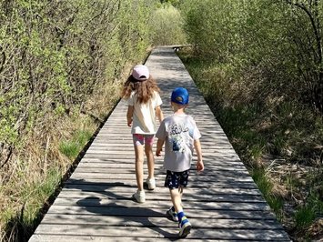 Für Familien Due bambini camminano su un sentiero di legno tra cespugli fioriti con montagna