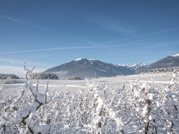 Ferienwohnung in Natz mit dem gewissen Etwas Verschneite Weinberge mit Bergen im Hintergrund unter blauem Himmel
