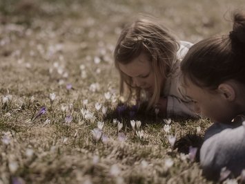 Für Familien Due bambini annusano fiori viola e bianchi in un prato primaverile
