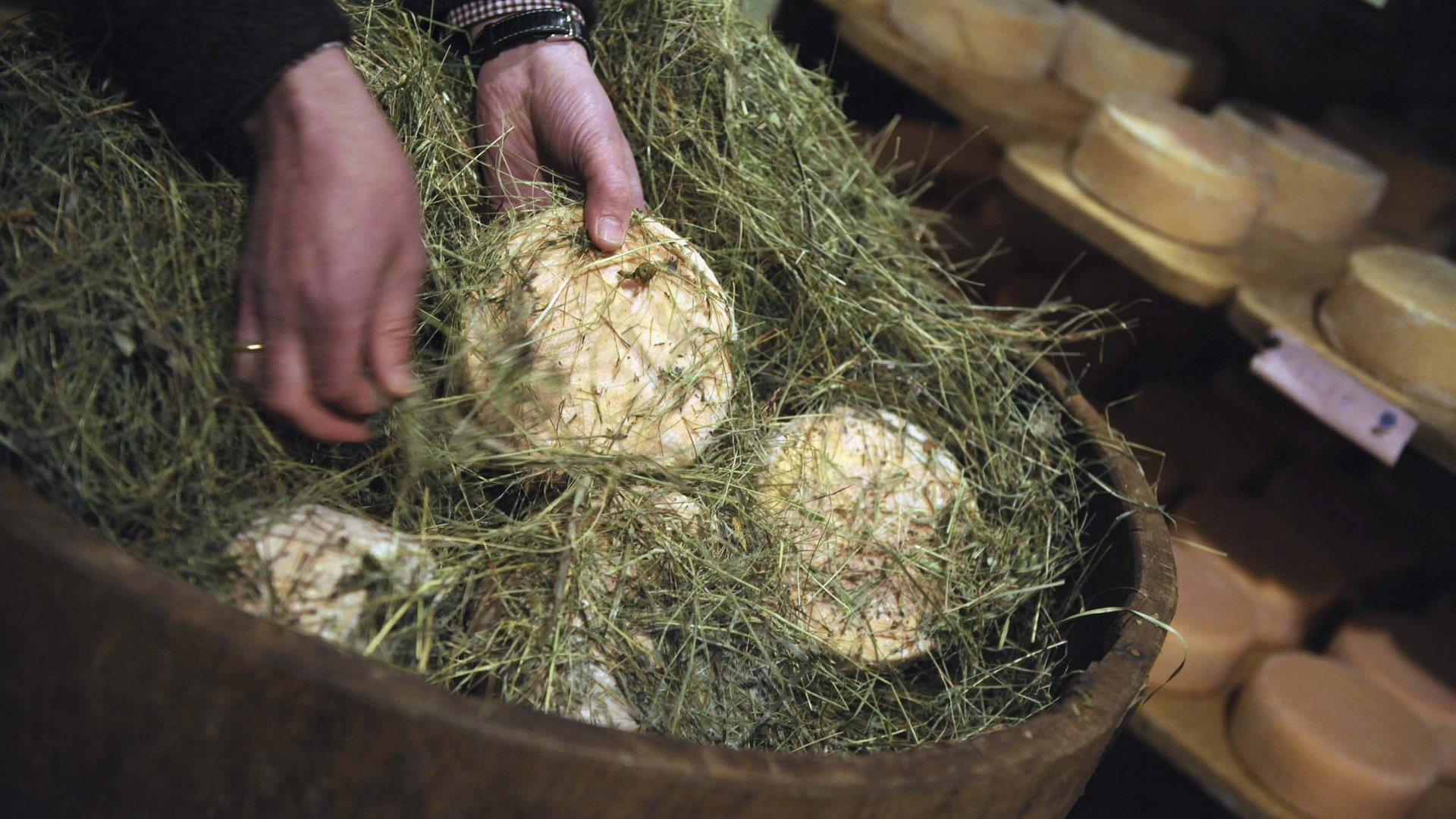 Bontà locali e di stagione al Klessler’s Mani che mettono formaggi nel fieno in una latteria