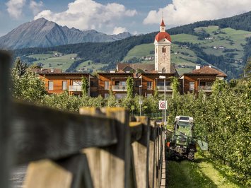 Urlaub mit Hund in Südtirol: Kessler’s! Traktor zwischen Apfelbäumen vor Häusern und Bergpanorama mit Kirchturm