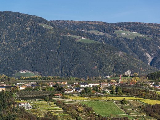 Vacanze in fattoria? Kessler’s Mountain Lodge! Villaggio e vigneti davanti a montagne boschive sotto cielo blu