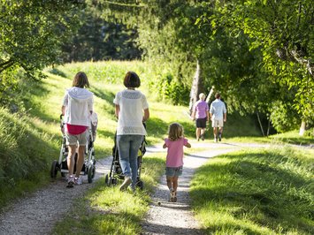 Ferienwohnung in Natz mit dem gewissen Etwas Familie spaziert mit Kinderwagen und Kind auf Waldweg bei Sonnenschein