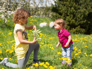 Ferienwohnung in Natz mit dem gewissen Etwas Zwei Kinder pflücken Blumen auf einer blühenden Wiese